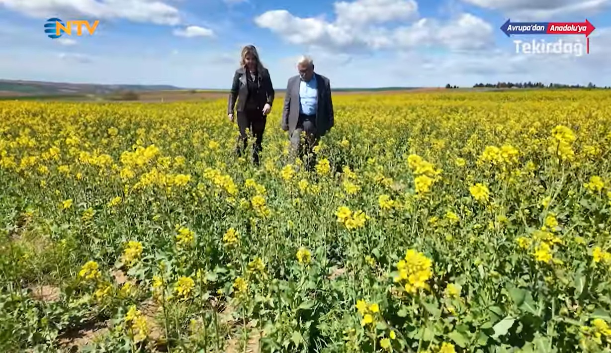 Namık Kemal Üniversitesi5